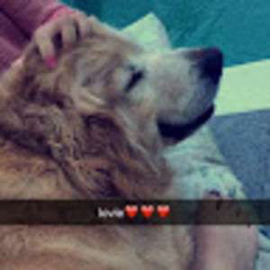 Meet your Posher, Liv